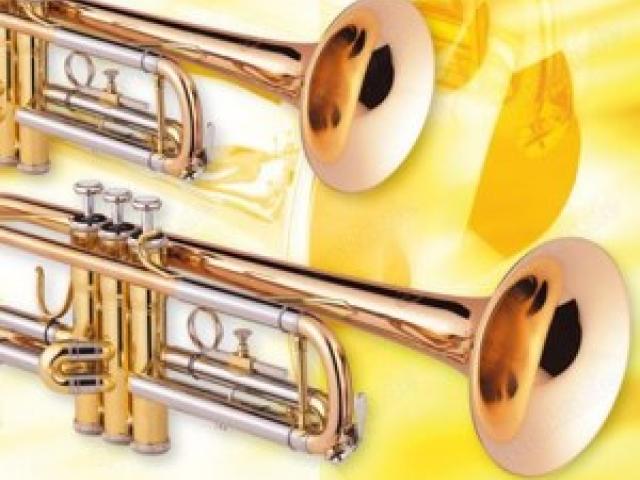 Trompeten für außergewöhnliche Big Band gesucht (LA) - 1